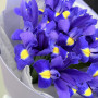 11 фиолетовых ирисов фото 3