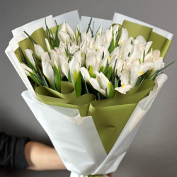 39 белых ирисов
